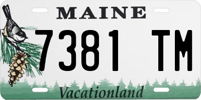 ME license plate 7381TM