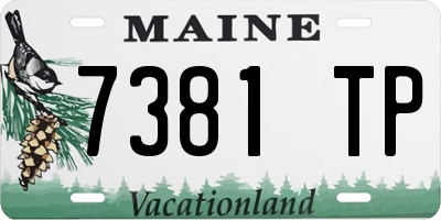 ME license plate 7381TP