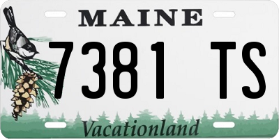 ME license plate 7381TS