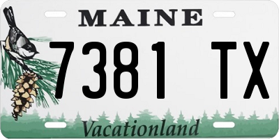 ME license plate 7381TX