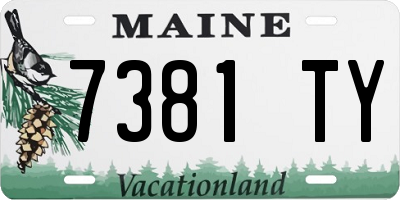 ME license plate 7381TY