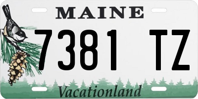 ME license plate 7381TZ