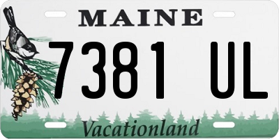 ME license plate 7381UL