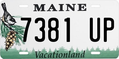 ME license plate 7381UP