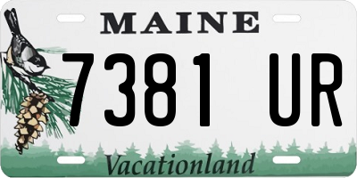 ME license plate 7381UR