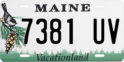 ME license plate 7381UV