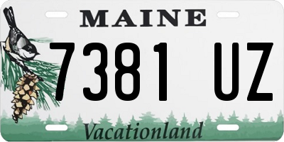 ME license plate 7381UZ