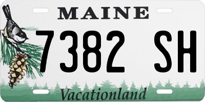 ME license plate 7382SH