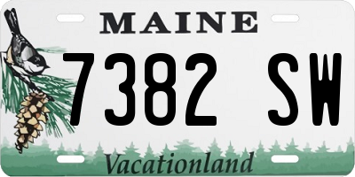 ME license plate 7382SW