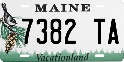 ME license plate 7382TA
