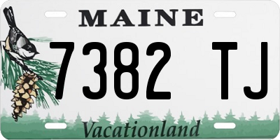 ME license plate 7382TJ