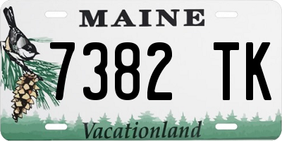 ME license plate 7382TK