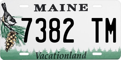 ME license plate 7382TM