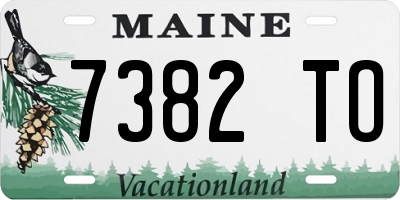ME license plate 7382TO