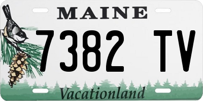 ME license plate 7382TV