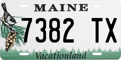 ME license plate 7382TX