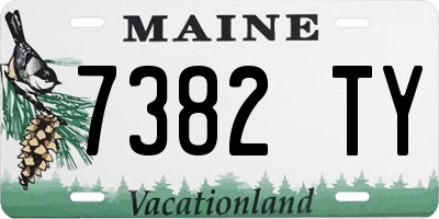 ME license plate 7382TY
