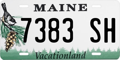 ME license plate 7383SH
