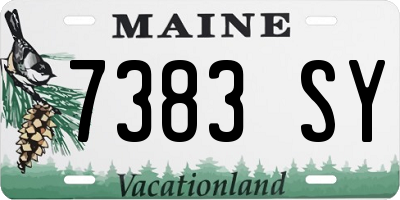 ME license plate 7383SY