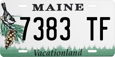 ME license plate 7383TF