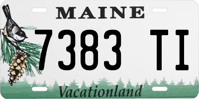 ME license plate 7383TI
