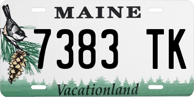 ME license plate 7383TK