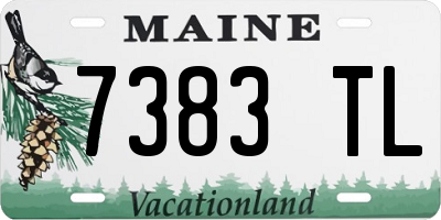 ME license plate 7383TL