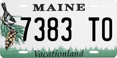 ME license plate 7383TO
