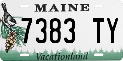 ME license plate 7383TY