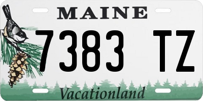 ME license plate 7383TZ