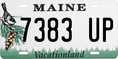 ME license plate 7383UP