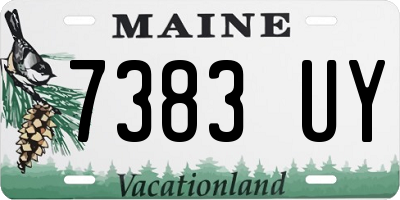 ME license plate 7383UY