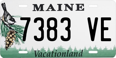 ME license plate 7383VE