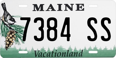 ME license plate 7384SS