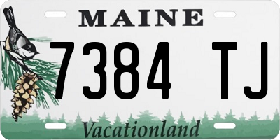 ME license plate 7384TJ