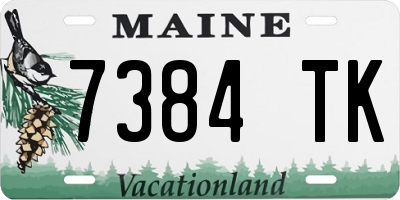 ME license plate 7384TK