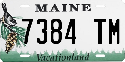 ME license plate 7384TM