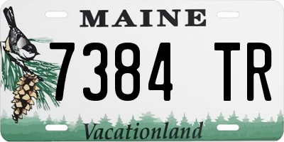 ME license plate 7384TR