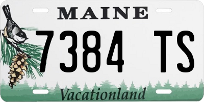 ME license plate 7384TS