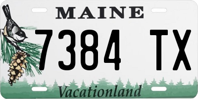 ME license plate 7384TX