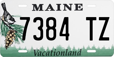 ME license plate 7384TZ