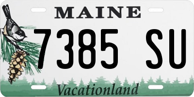 ME license plate 7385SU