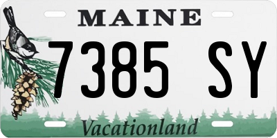 ME license plate 7385SY