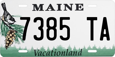 ME license plate 7385TA