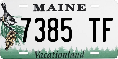 ME license plate 7385TF