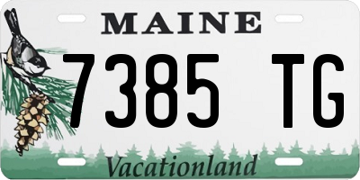 ME license plate 7385TG