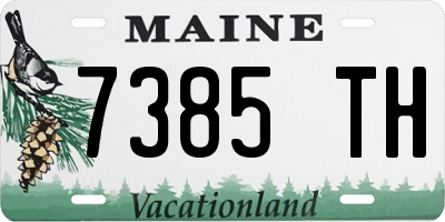 ME license plate 7385TH