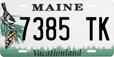 ME license plate 7385TK