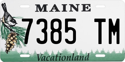 ME license plate 7385TM