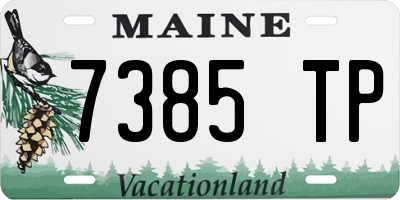 ME license plate 7385TP